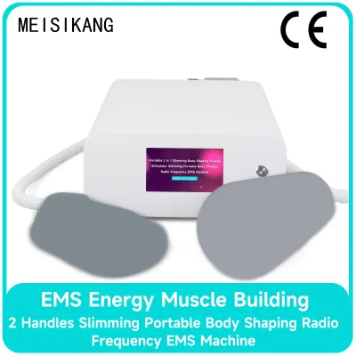 Appareil de stimulation électromagnétique